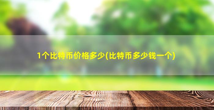 1个比特币价格多少(比特币多少钱一个)