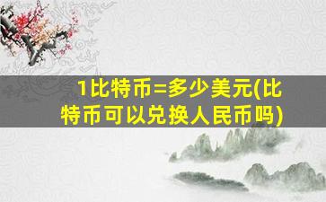 1比特币=多少美元(比特币可以兑换人民币吗)