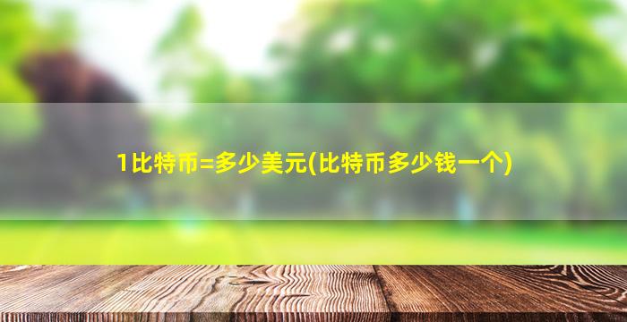 1比特币=多少美元(比特币多少钱一个)