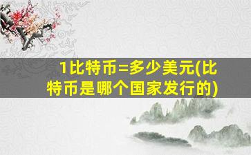 1比特币=多少美元(比特币是哪个国家发行的)