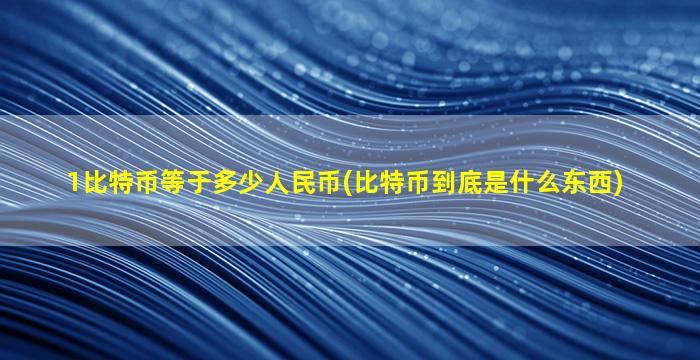 1比特币等于多少人民币(比特币到底是什么东西)