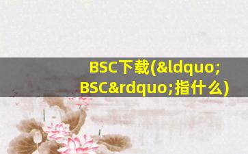 BSC下载(“BSC”指什么)