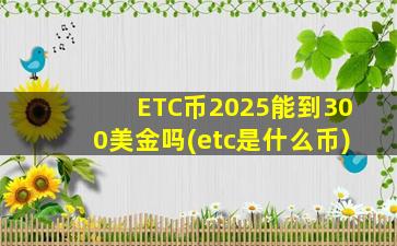 ETC币2025能到300美金吗(etc是什么币)