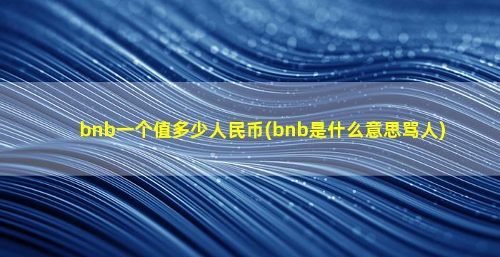bnb一个值多少人民币(bnb是什么意思骂人)