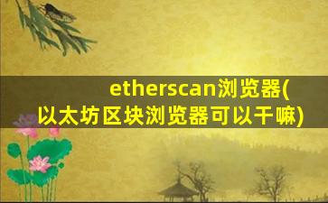 etherscan浏览器(以太坊区块浏览器可以干嘛)