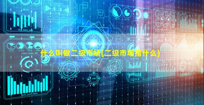 什么叫做二级市场(二级市场指什么)