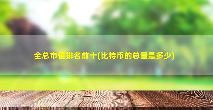 全总市值排名前十(比特币的总量是多少)