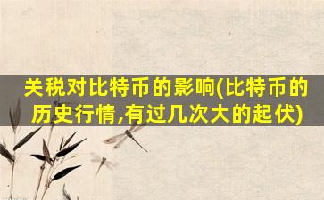 关税对比特币的影响(比特币的历史行情,有过几次大的起伏)