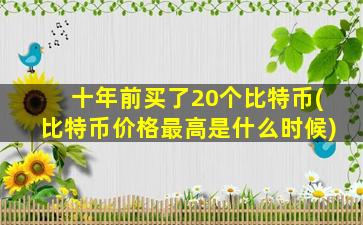 十年前买了20个比特币(比特币价格最高是什么时候)