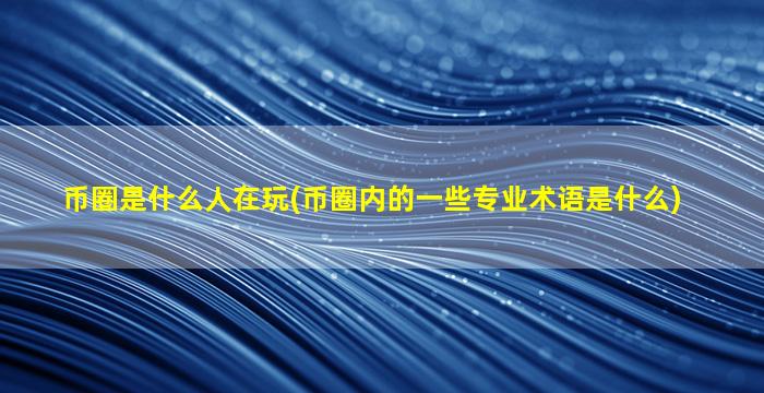 币圈是什么人在玩(币圈内的一些专业术语是什么)