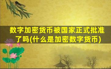 数字加密货币被国家正式批准了吗(什么是加密数字货币)
