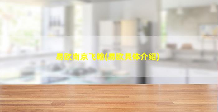 易欧南京飞翰(易欧具体介绍)