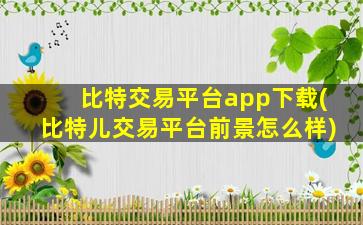 比特交易平台app下载(比特儿交易平台前景怎么样)
