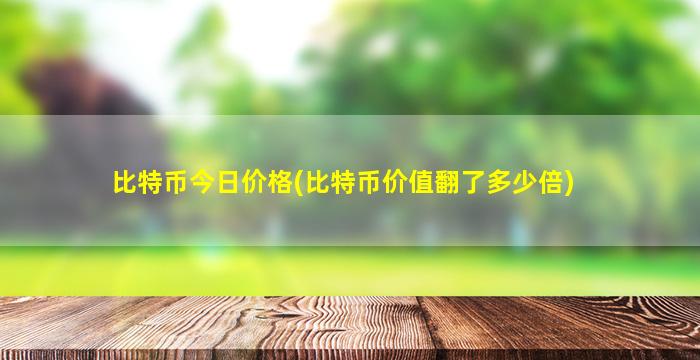 比特币今日价格(比特币价值翻了多少倍)