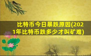 比特币今日暴跌原因(2021年比特币跌多少才叫矿难)