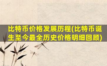 比特币价格发展历程(比特币诞生至今最全历史价格明细回顾)
