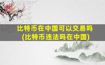 比特币在中国可以交易吗(比特币违法吗在中国)