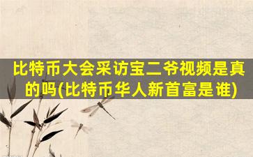 比特币大会采访宝二爷视频是真的吗(比特币华人新首富是谁)