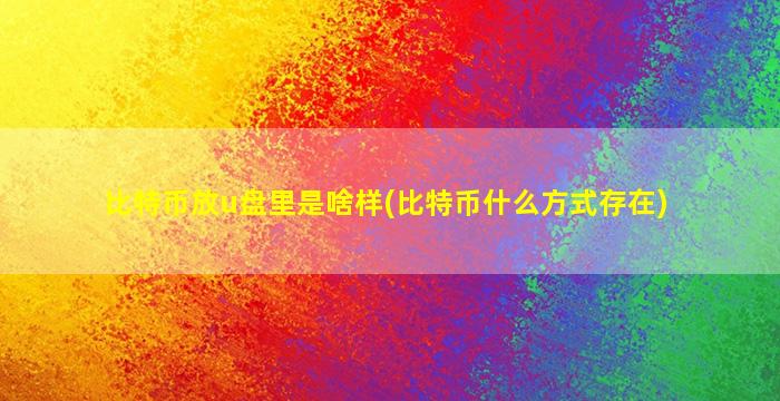 比特币放u盘里是啥样(比特币什么方式存在)