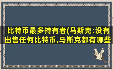 比特币最多持有者(马斯克:没有出售任何比特币,马斯克都有哪些资产)