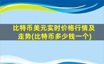 比特币美元实时价格行情及走势(比特币多少钱一个)