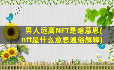 男人远离NFT是啥意思(nft是什么意思通俗解释)