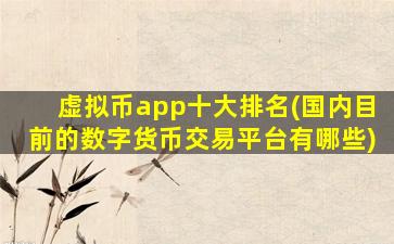 虚拟币app十大排名(国内目前的数字货币交易平台有哪些)