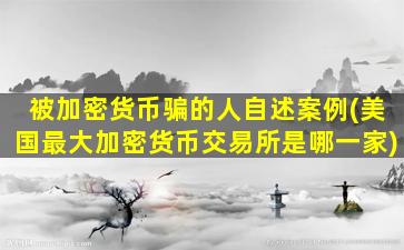 被加密货币骗的人自述案例(美国最大加密货币交易所是哪一家)