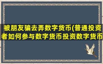 被朋友骗去弄数字货币(普通投资者如何参与数字货币投资数字货币的发展前景如何)