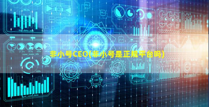 非小号CEO(非小号是正规平台吗)