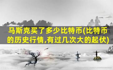 马斯克买了多少比特币(比特币的历史行情,有过几次大的起伏)